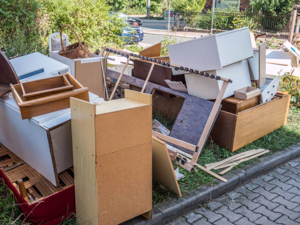 Yard Cleanup Services in Collierville, TN